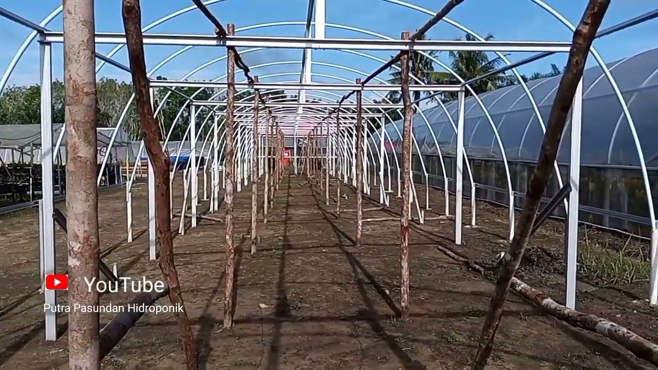 part 1#Cara buat green house sederhana.
