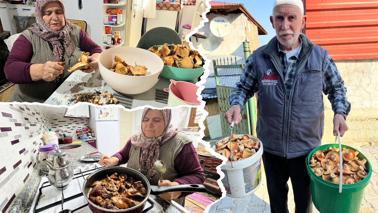 Anneme mantar getiriyorum  annemle öğlen yemeği