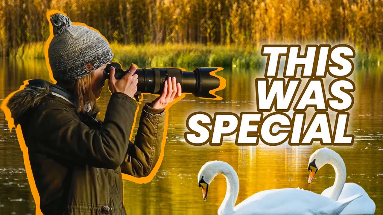 A Very Special Afternoon of Autumn Nature Photography