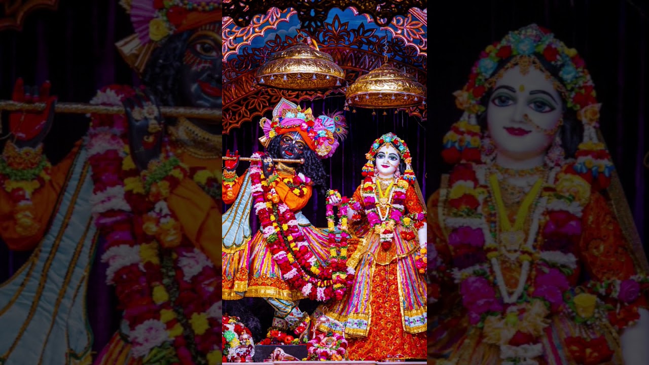 ঘুমানোর আগে একবার প্রাণ ভরে দর্শন করুন || হরে কৃষ্ণ Mayapur Dham#mayapurdham #iskcon#todaydarshan