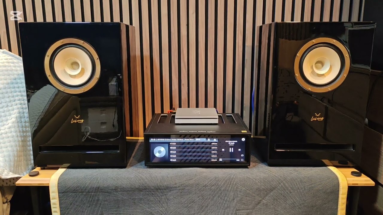 liiSong F6 with Hifirose RS520 integrated amp and streamer