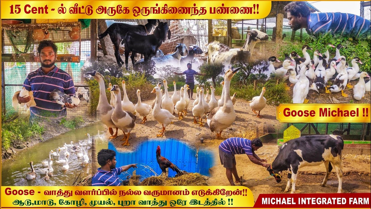 வீட்டுக்கு அருகே ஒருங்கிணைந்த பண்ணை| 
