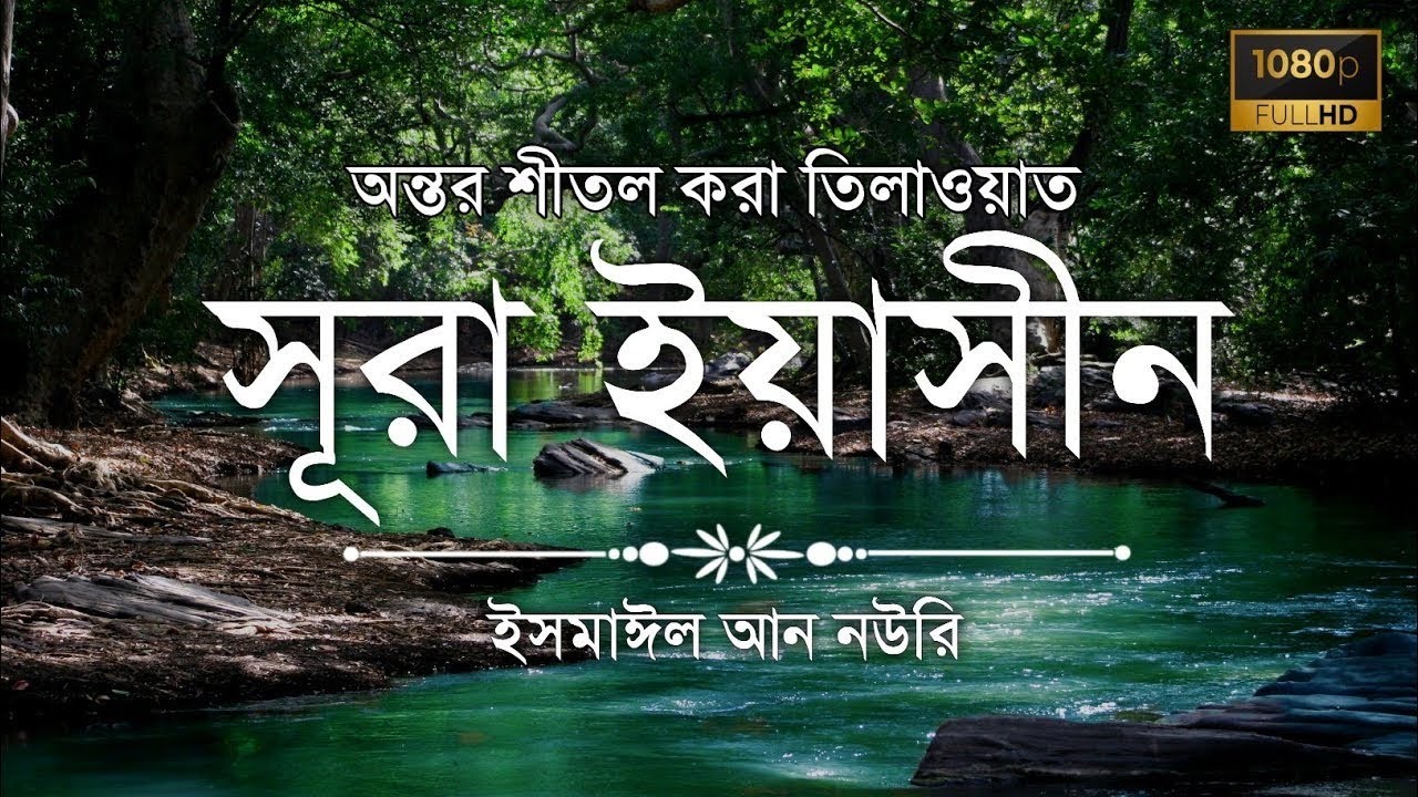 (প্রতিদিন সকালে শুনুন) আবেগময় কন্ঠে সূরা ইয়াসিন | Quran Tilawat | Surah Yaseen by Ismail An Nouri
