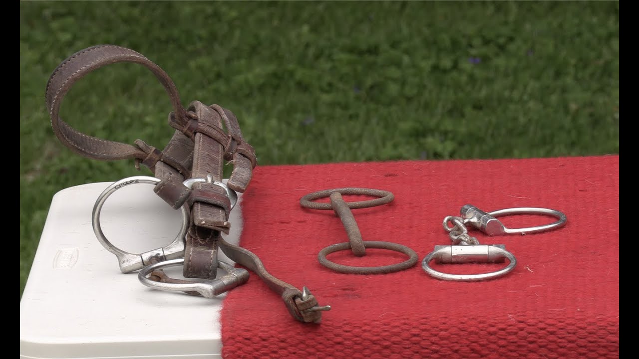 О Bits: Snaffle vs. Curb (Эпизод 103) — Herm Gailey