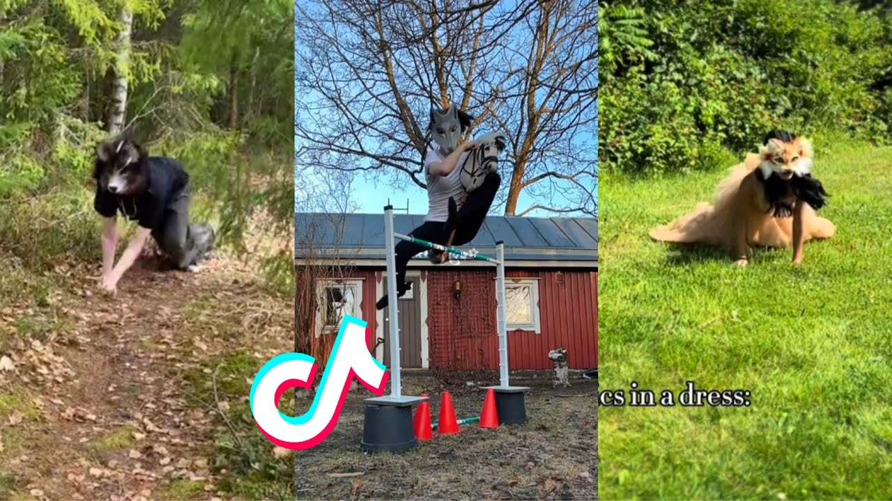 Therian and Quadrobics TikTok Compilation || Alterhumans of TikTok #24
