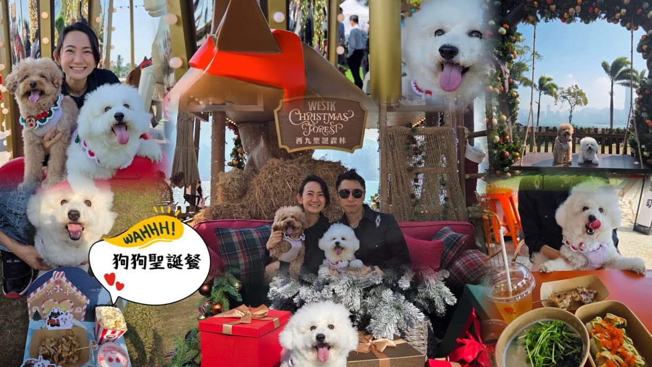 西九聖誕森林🎄狗狗聖誕大餐❤️【小腳掌大世界🐾】