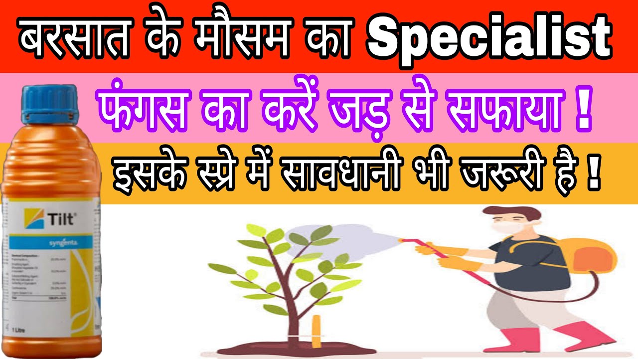 tilt fungicide | tilt fungicide price | propiconazole fungicide | propiconazole 25 ec in hindi |