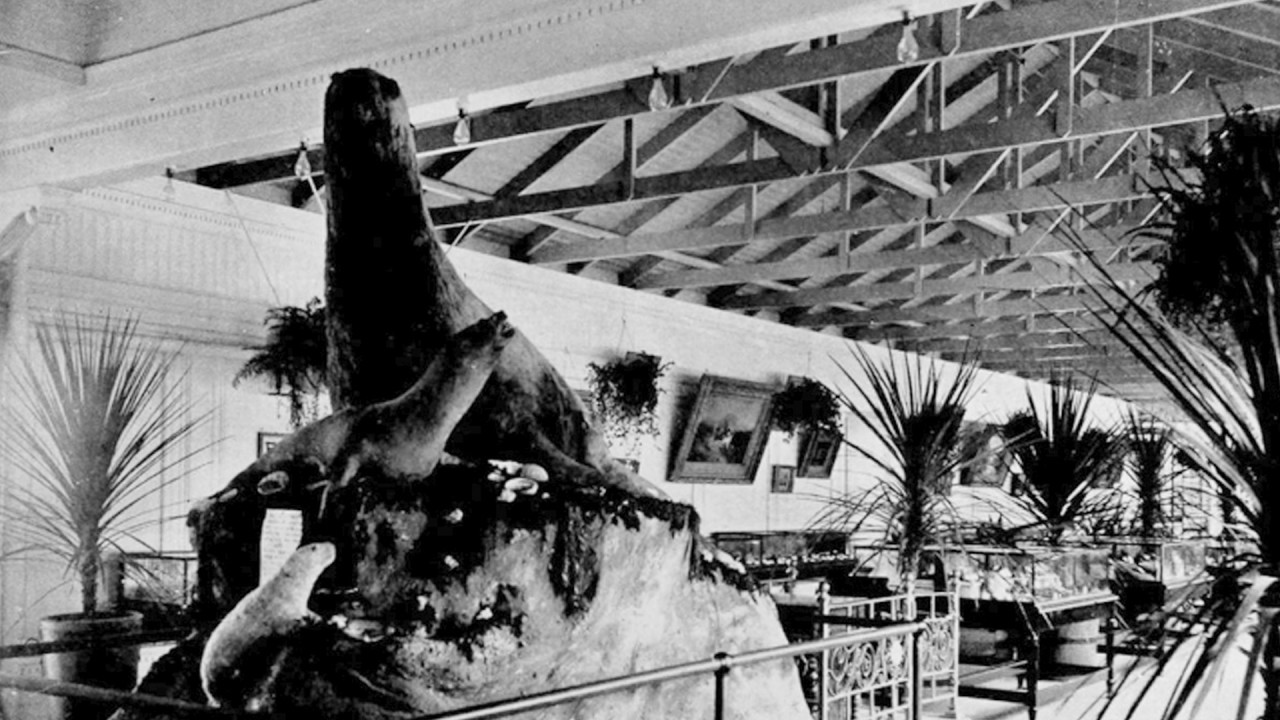 What Remains: Sutro Baths