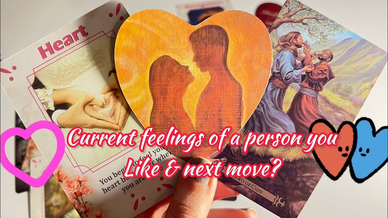 Current feelings of a person you like & their next move?🥰 Hindi tarot card | Timeless
