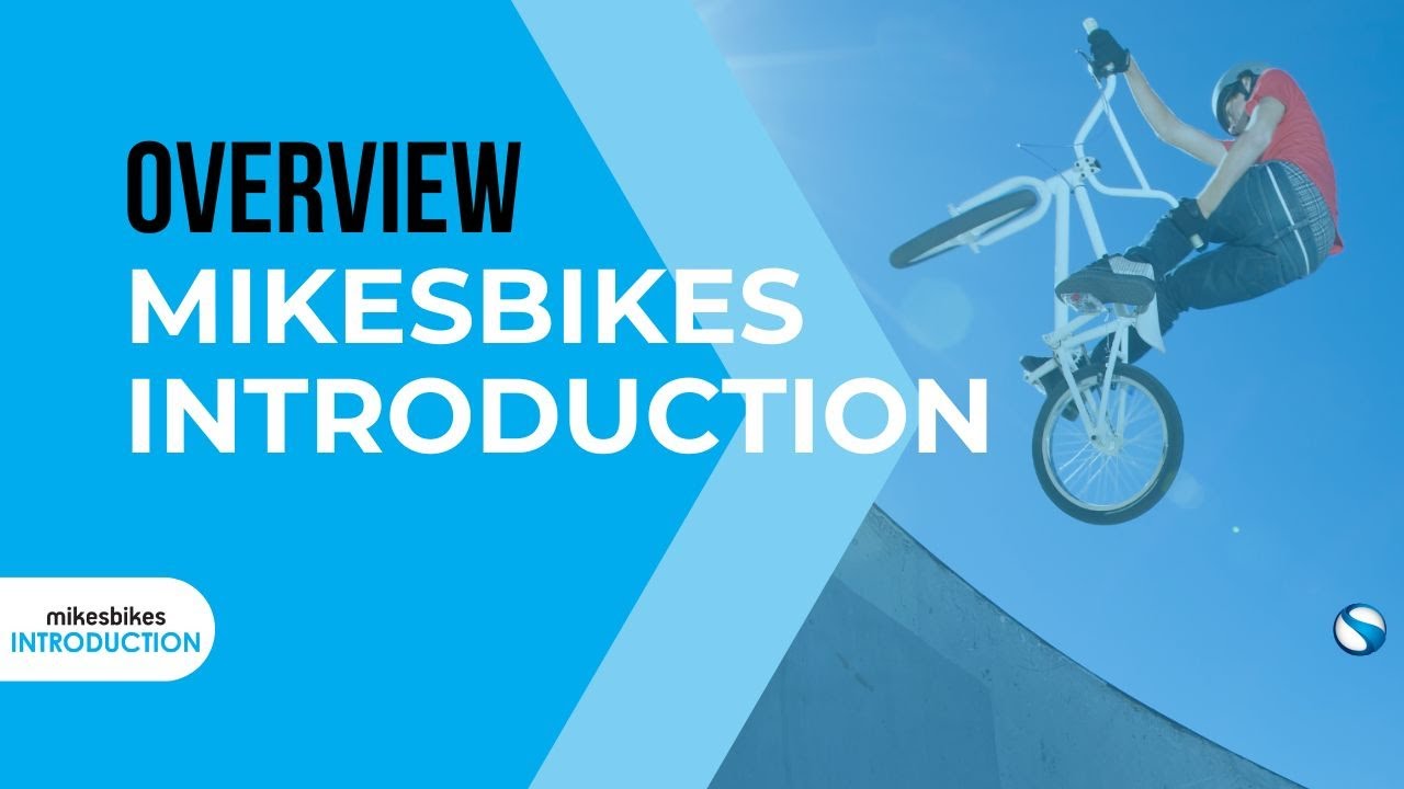 Overview of the MikesBikes Introduction Business Simulation