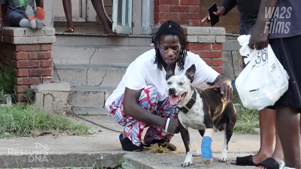 People Confront Each Other in Texas Over Dogs