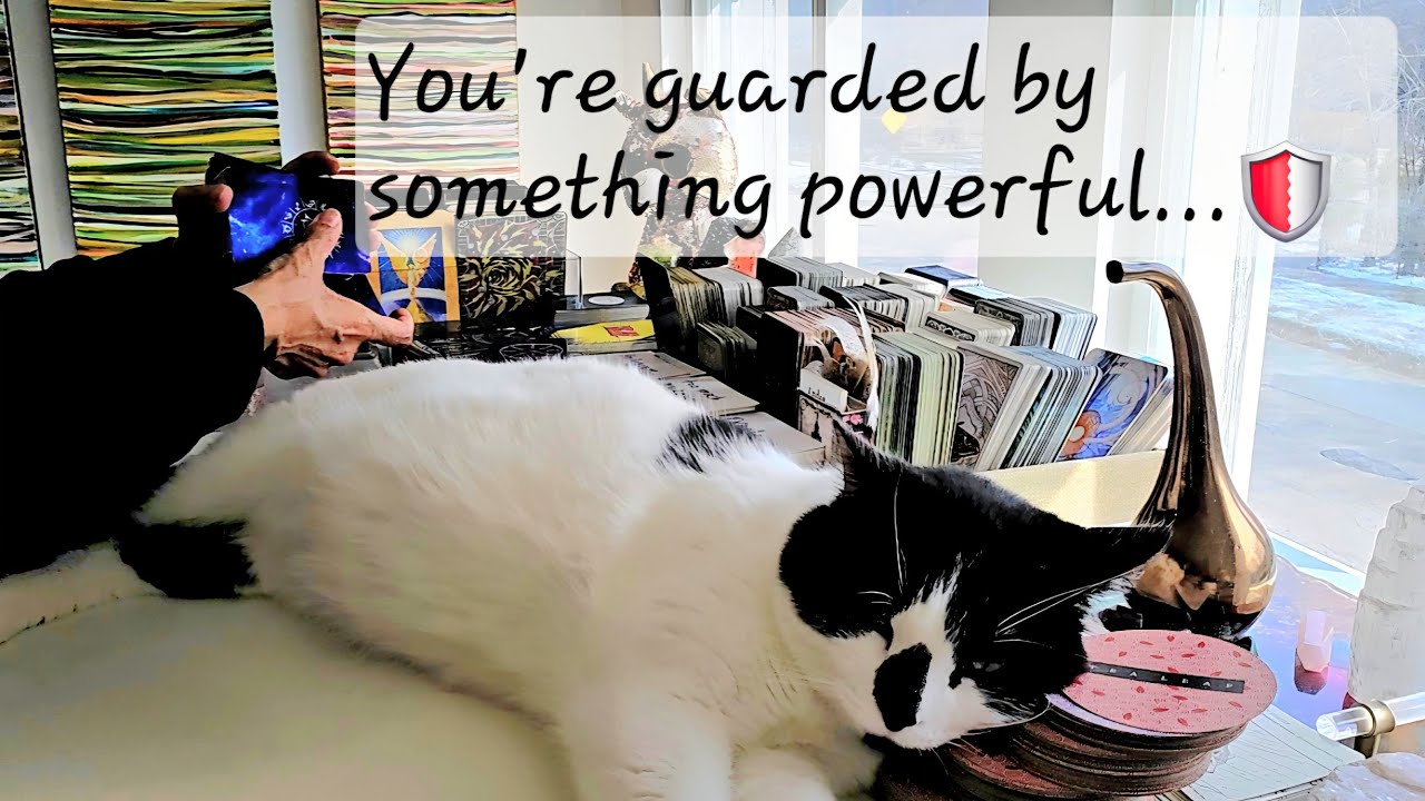 Вы стали духовной крепостью... и всё негативное блокируется 🛡️✨😼