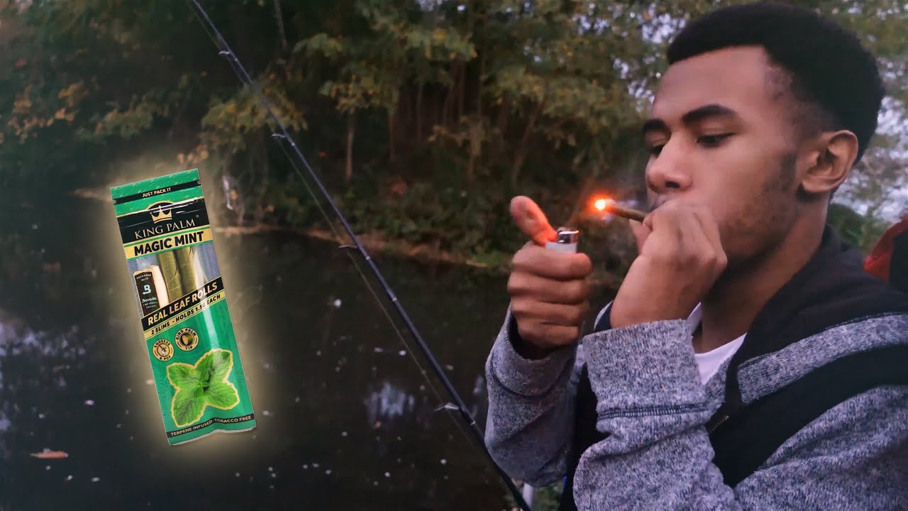 Magic Mint King Palm Sesh Outside