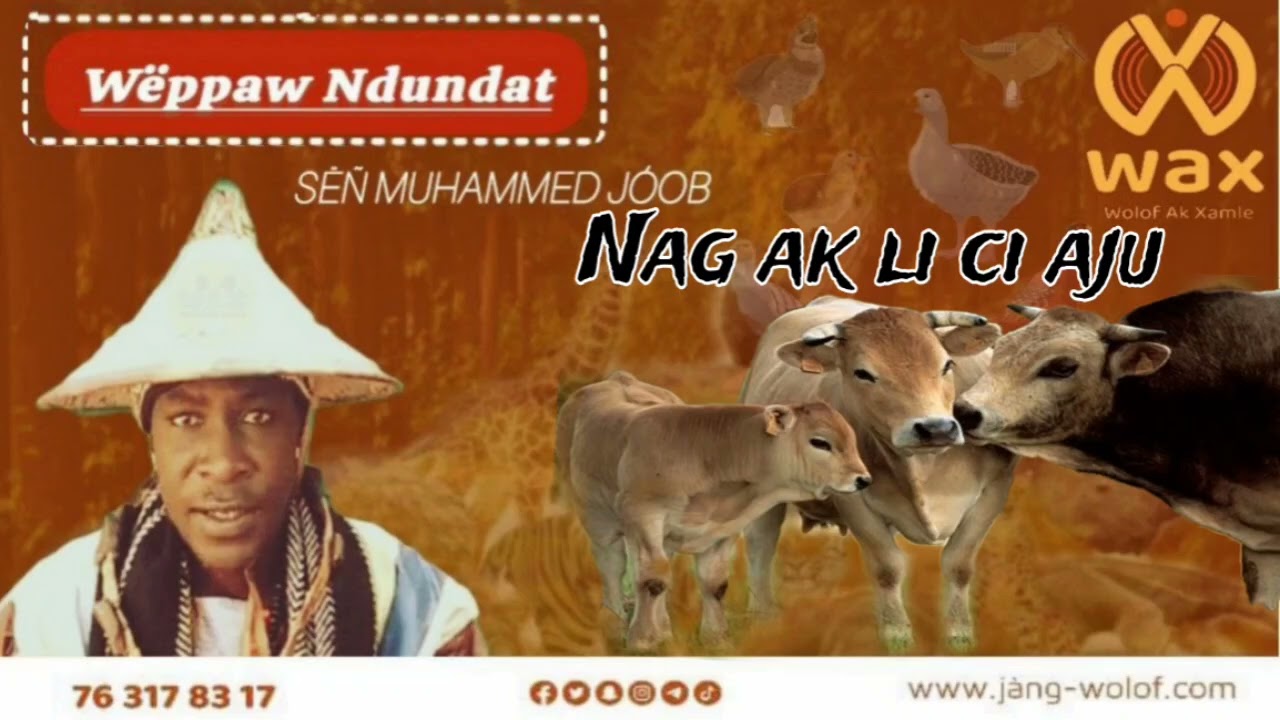 Nag ak li ci aju