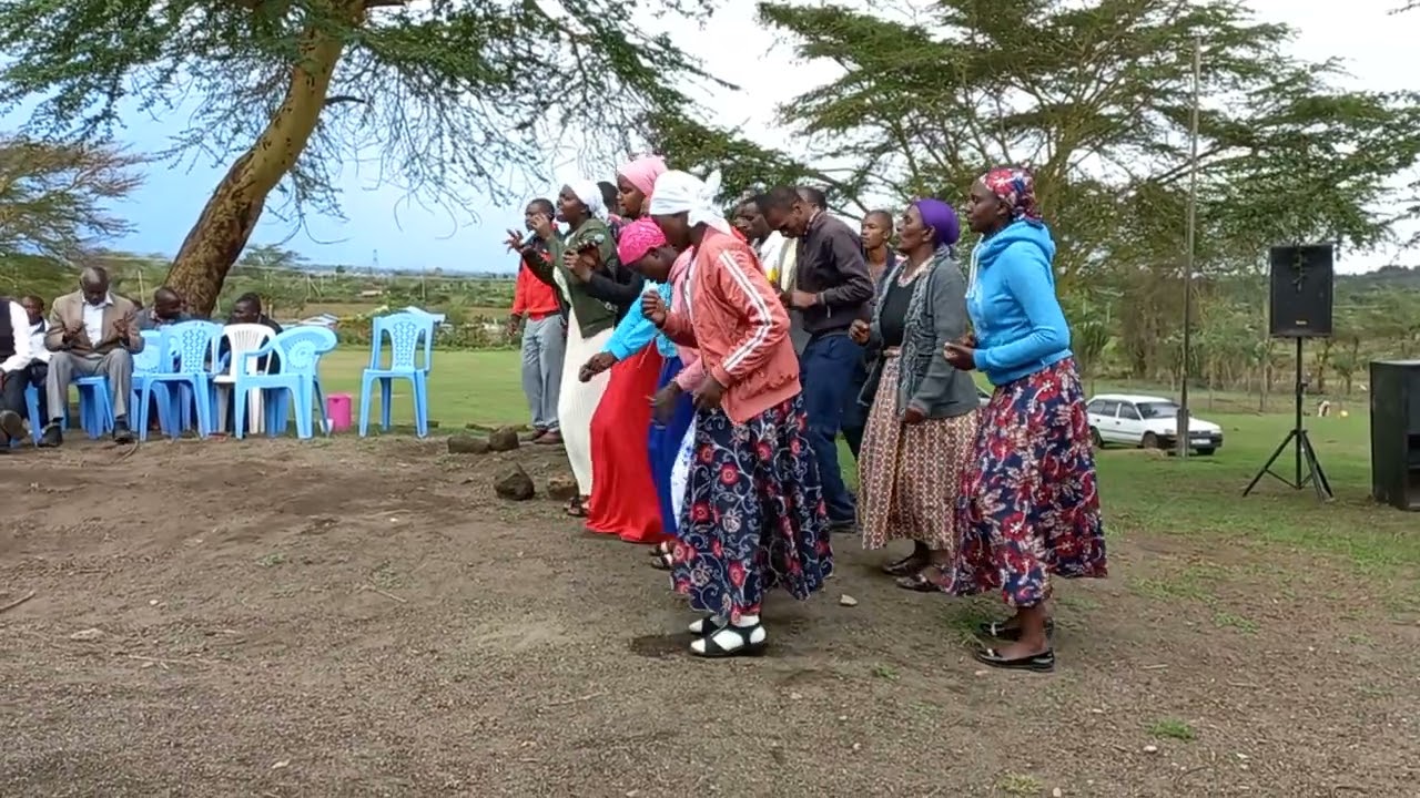 ibwatech Elohim