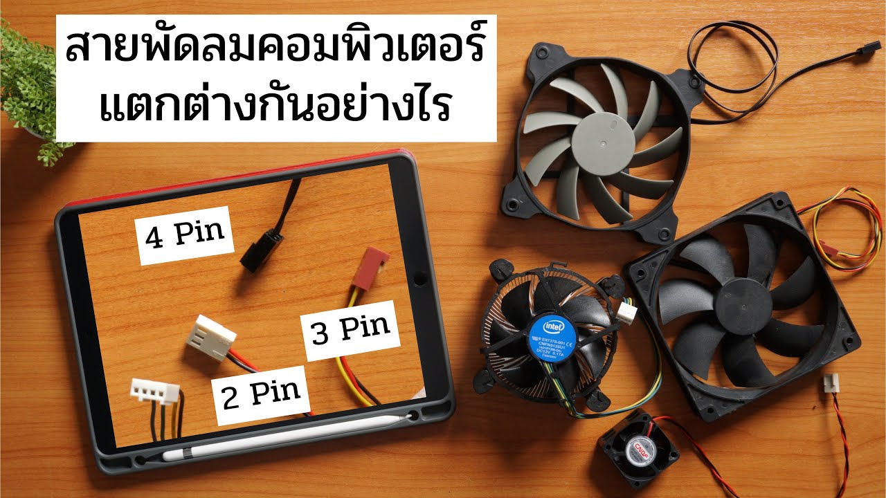 พัดลมคอม ที่มีสายไฟ 2 3 และ 4 เส้น แตกต่างกันอย่างไร