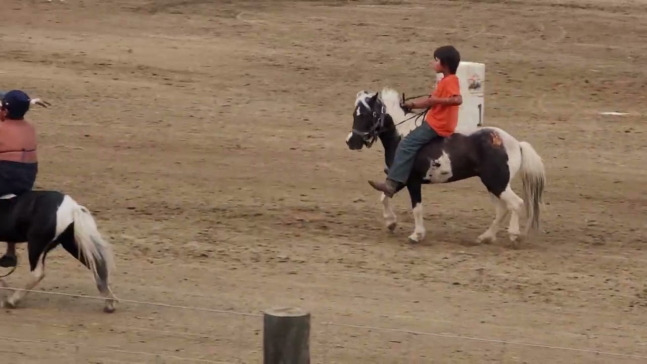 Indian Relay: Smokey Daniel the #star #viralvideo #rodeo #canada