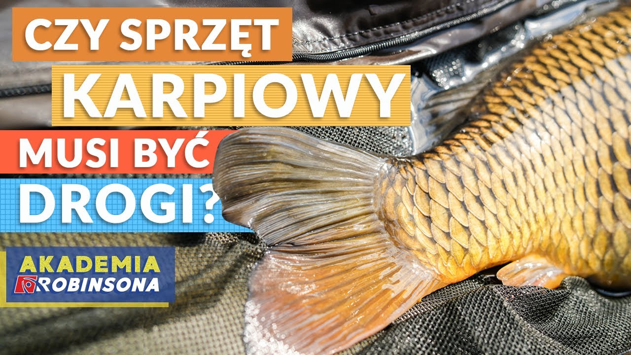 Czy sprzęt karpiowy musi być drogi? Jak zacząć przygodę z łowieniem karpi? AKADEMIAROBINSONA#51