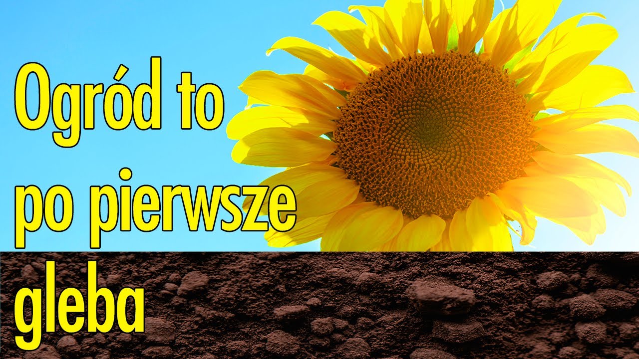 Ogród to po pierwsze gleba. Jak dbać o żyzne podłoże w ogrodzie. Wiedza w pigułce