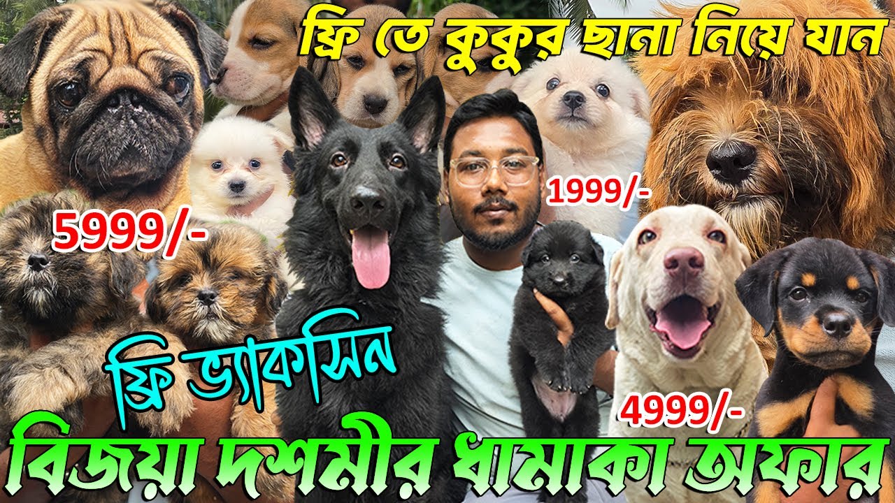 Biggest German Shepherd Kennel in West Bengal। Import Quality Kci Registered । Dog Market in Kolkata