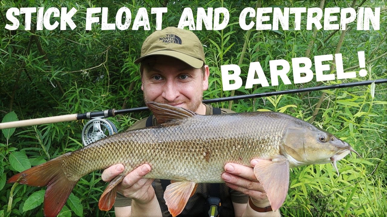 Catching Barbel on the Float and Centrpin