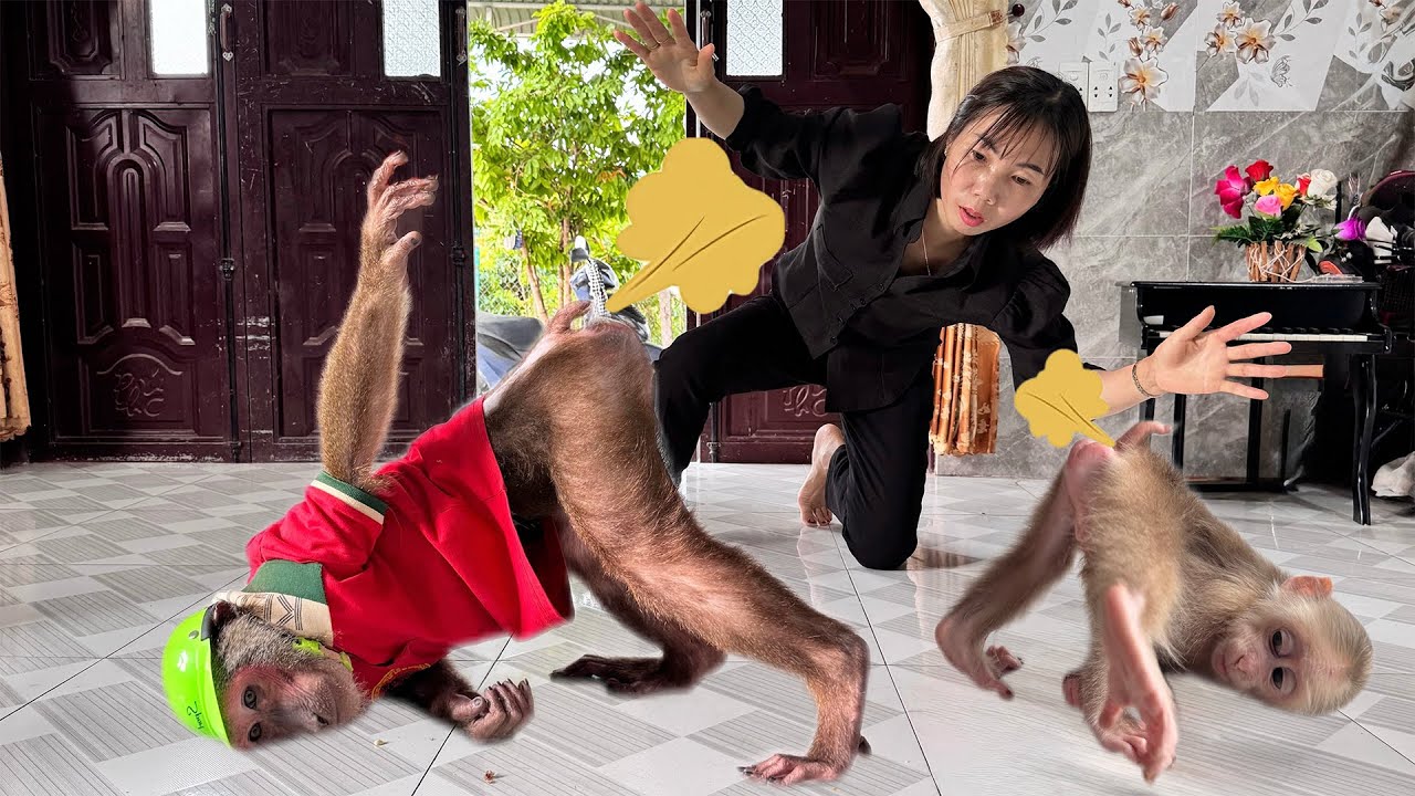 Mom Panics After Abu and Baby Monkey Let Out Surprising Farts at Home!