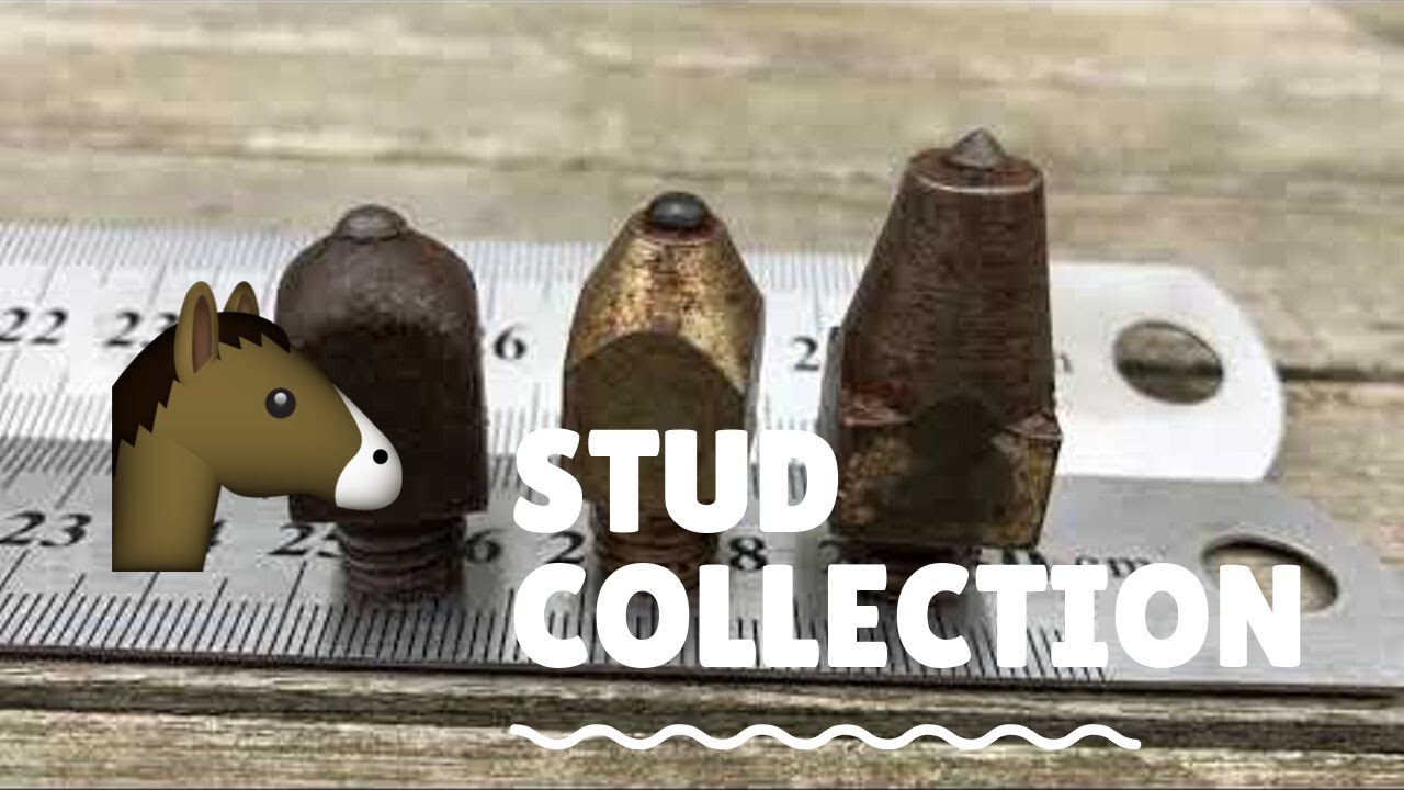 What's in my Stud Collection: Advice from a professional eventer