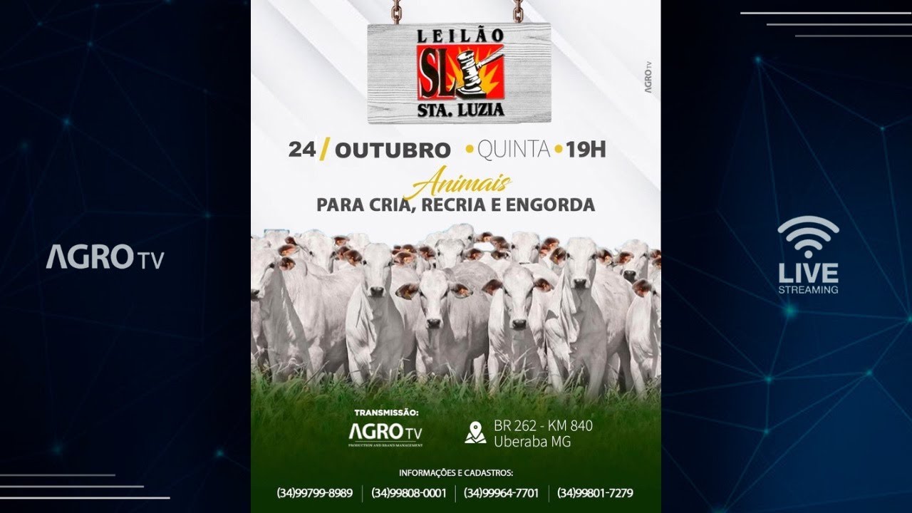 LEILÃO SANTA LUZIA - UBERABA MG