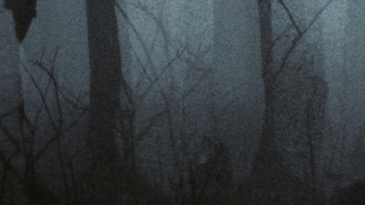 Trentem&oslash;ller: While the Cold Winter Waiting