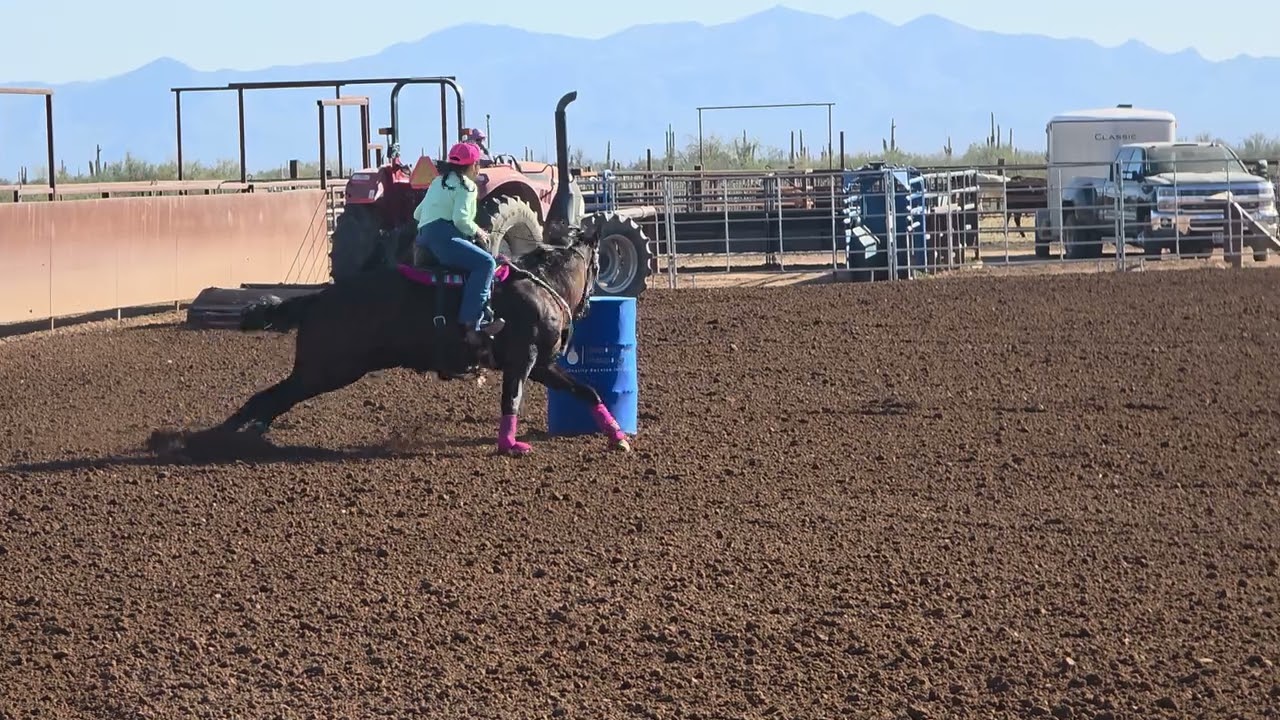 Shakira 16.794 Morristown 1.31.26