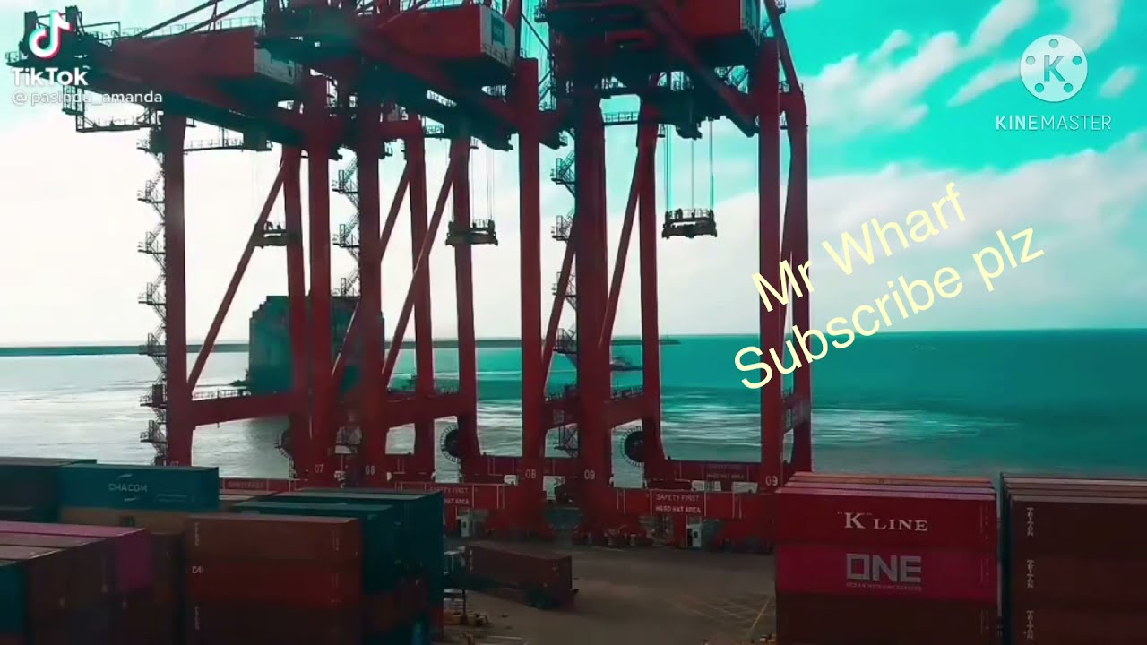 Port operation  #port #unloading #shipdeparture