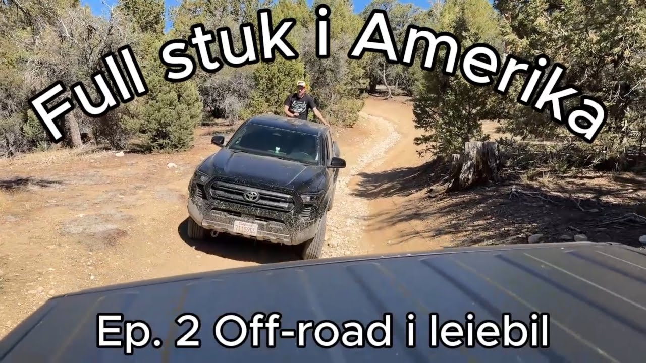 Off-road i leiebil