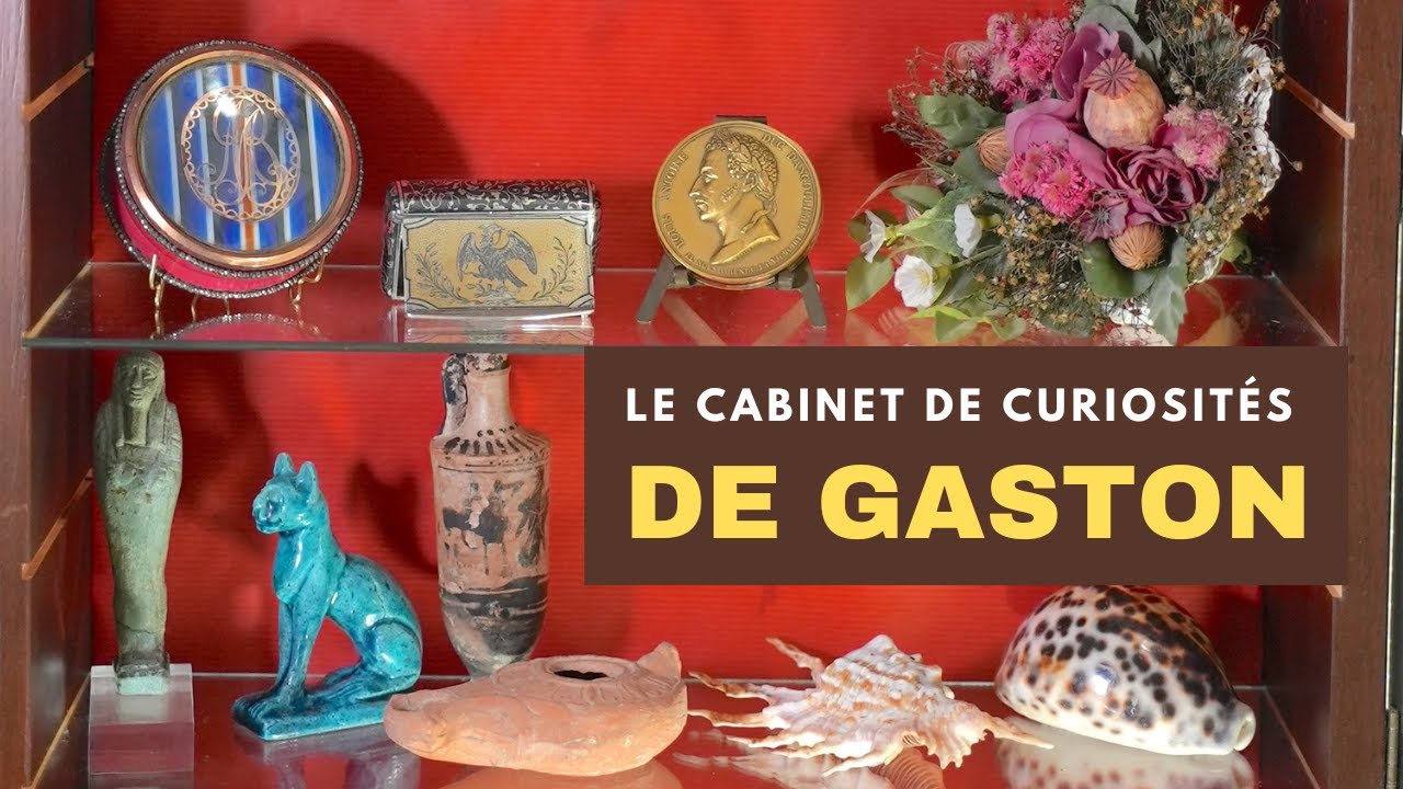 Franz Culture et le cabinet de curiosités de Gaston