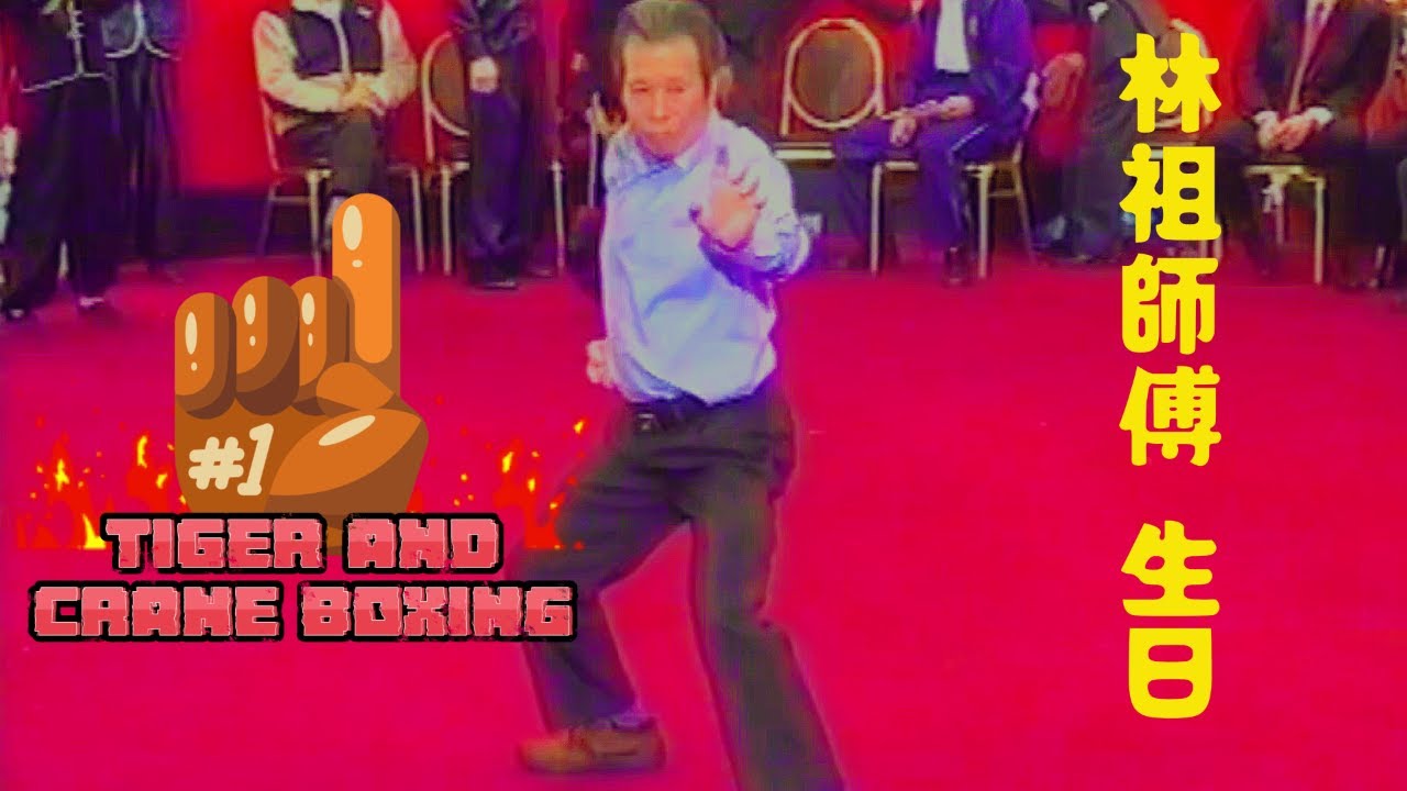 Hung Gar Kung Fu - 林祖師傅 生日 2005 🇭🇰 舞獅  - Grandmaster Lam Jo bday party 2005