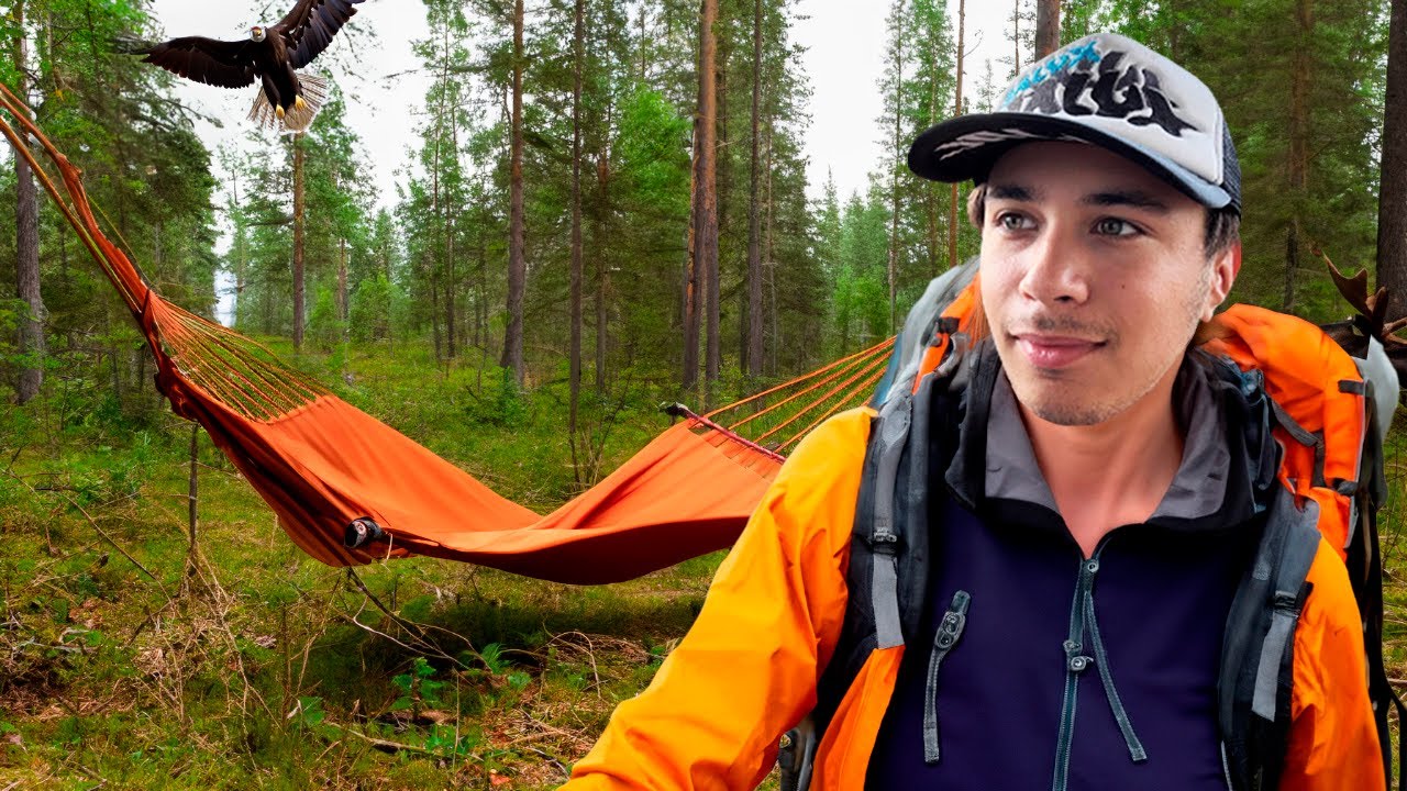 Y&Ouml;T&Auml; METS&Auml;SS&Auml;!