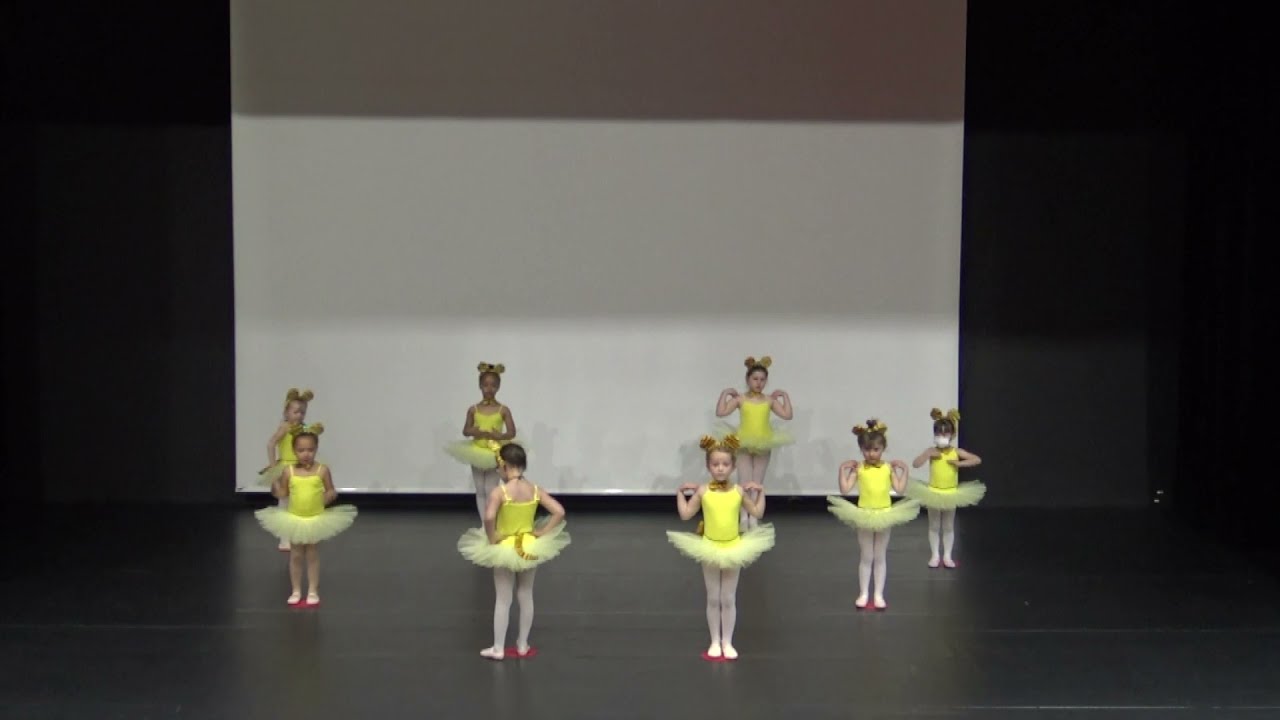 Danse classique - Eveil - Tarzan