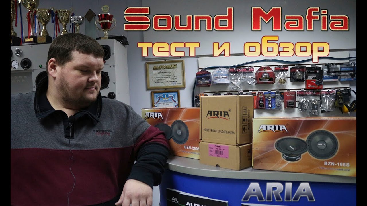 Обзор ARIA BZN-165S и  ARIA BZN-200S