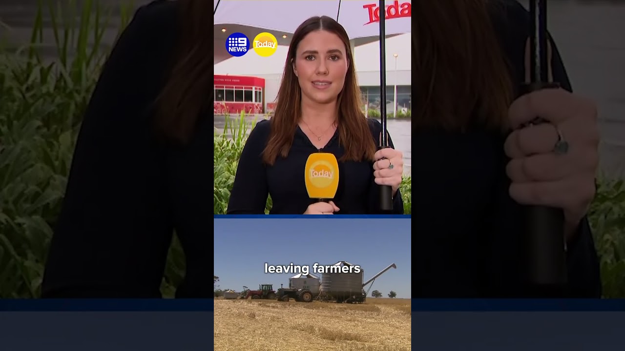 Concerns conflict could affect food supply chain | 9 News Australia