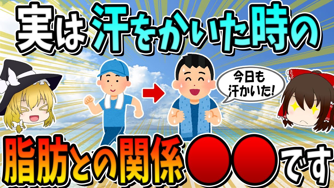 実は汗をかいた時の、脂肪との関係は○○でした。