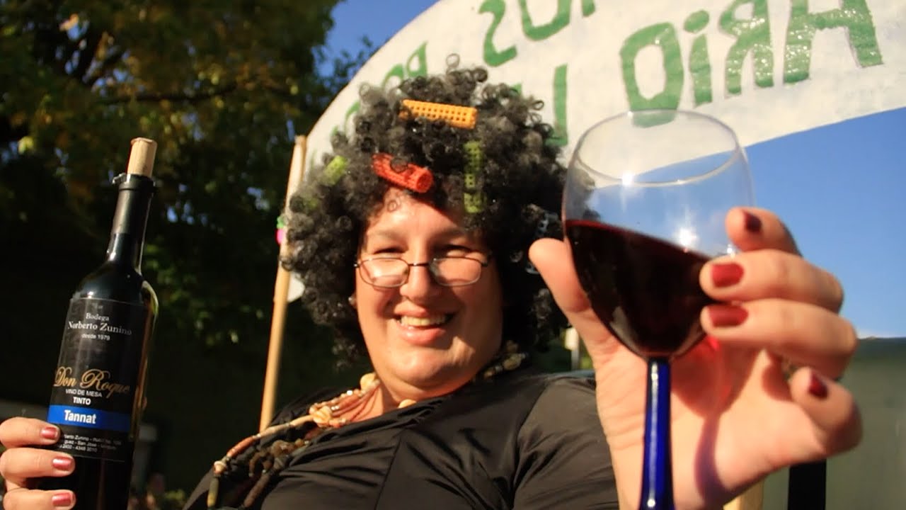 Hay fiesta en el pago - Fiesta de la uva y el vino en Villa Rodríguez