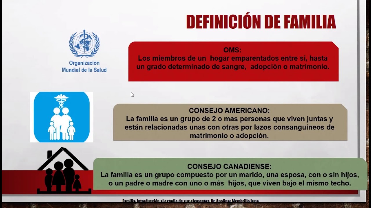 DEFINICION DE FAMILIA