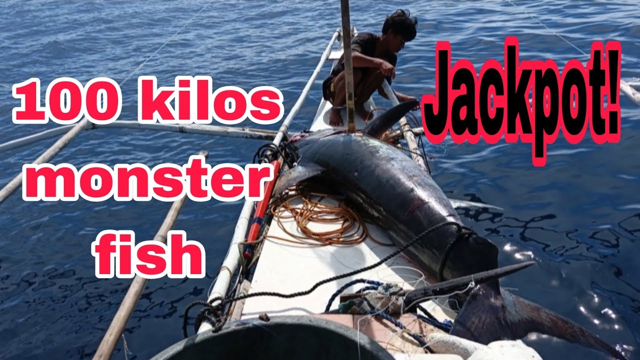 Jackpot! Napakalaki | 100 kilos mahigit ang nahuli naming dambuhalang isda | Pahirapan sa pagsampa