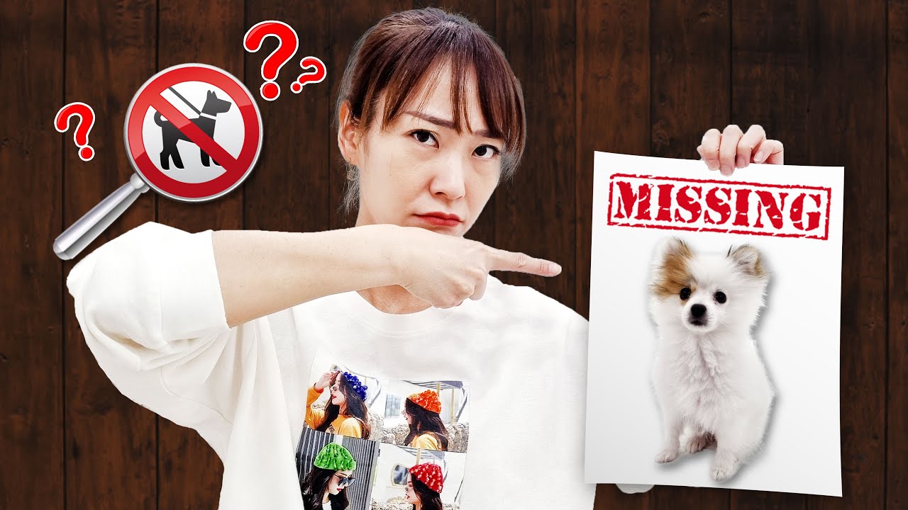 보름이가 사라졌어요!! 서은이 엄마의 보름이 찾기 탐정놀이 인형 똥 공원 Finding a puppy detective play