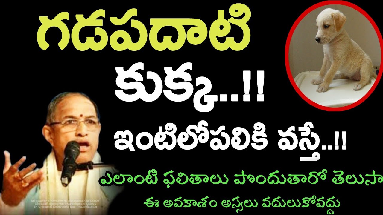 గడప దాటి కుక్క ఇంటిలోపలికి వస్తే..!! ఎలాంటి ఫలితాలు పొందుతారో Chaganti Speeches Pravachanalu Latest