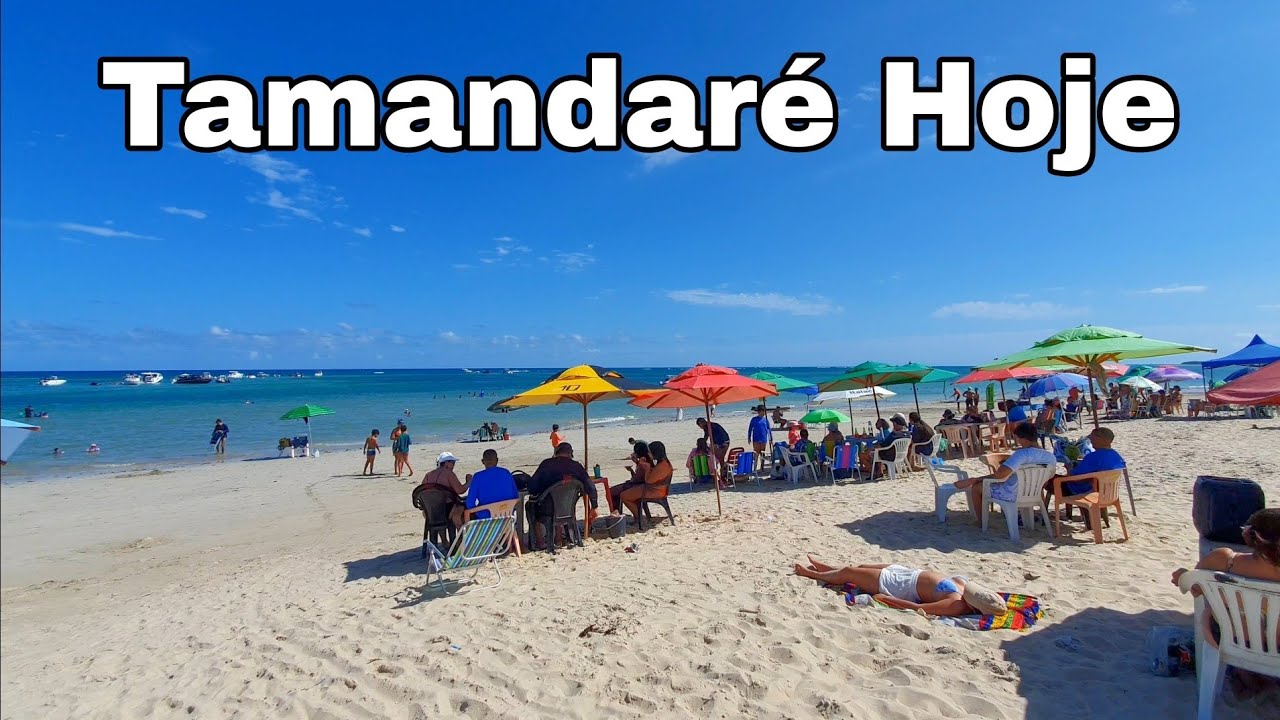 Tamandaré Pernambuco 17 De Janeiro De 2025 A Cidade E A Praia