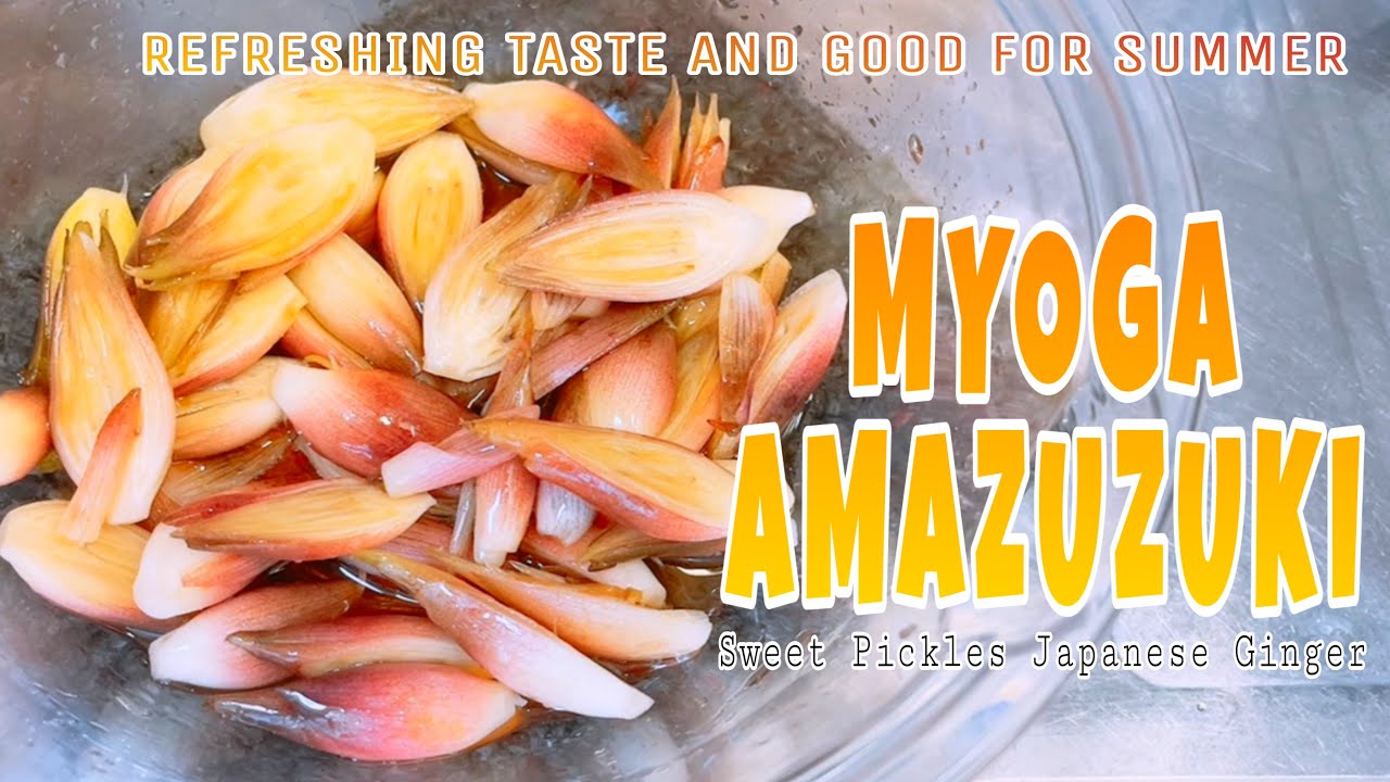 Myoga Amazuzuke (Sweet Pickles Japanese Ginger) | Sweet Vinaigrette  Myoga Pickles | みょうが 酢漬け
