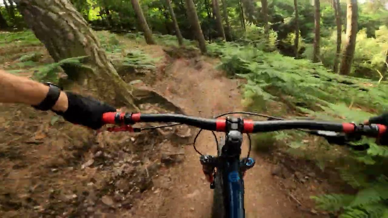 CANNOCK CHASE MTB TRAILS - SNAP IT