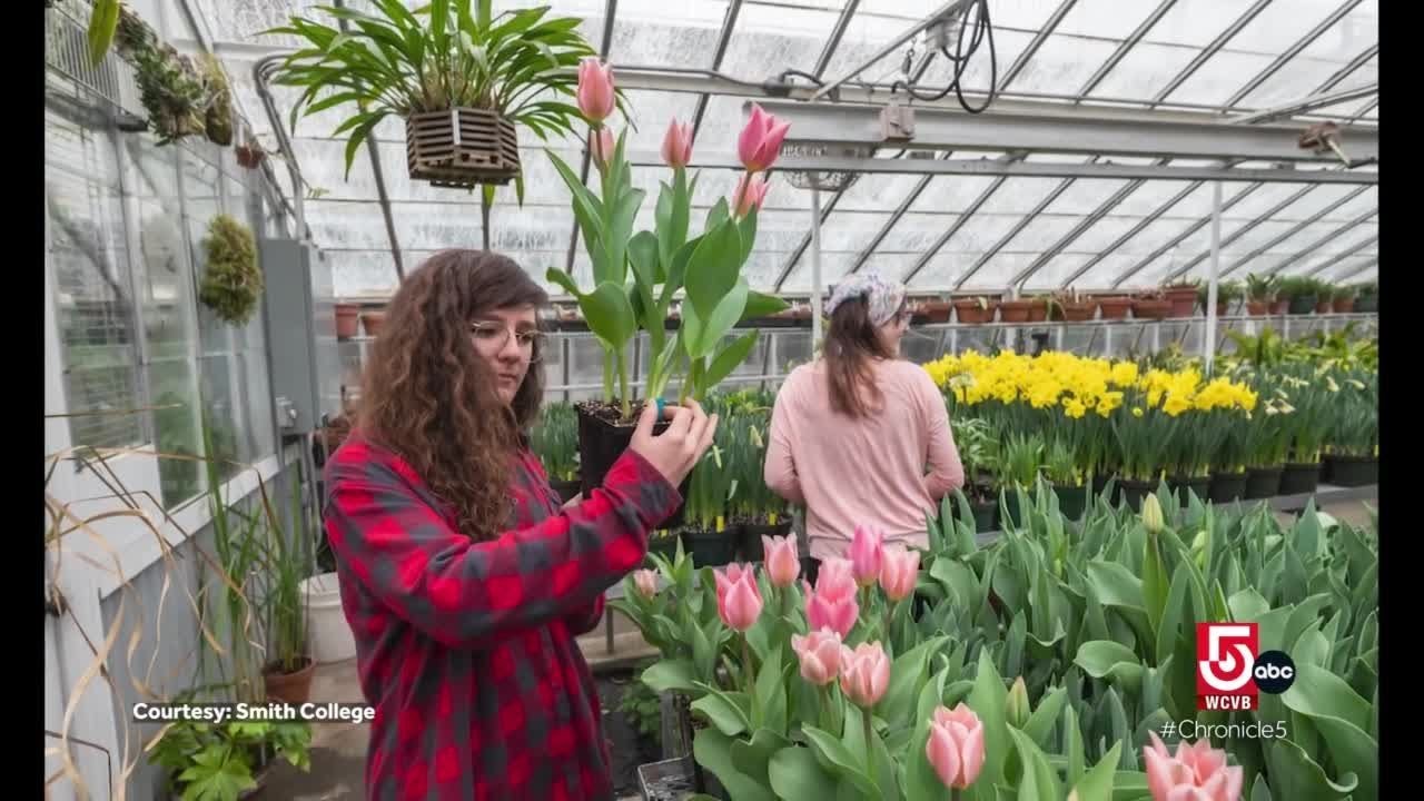 Northampton, Mass. boasts good eats and nature-based experiences