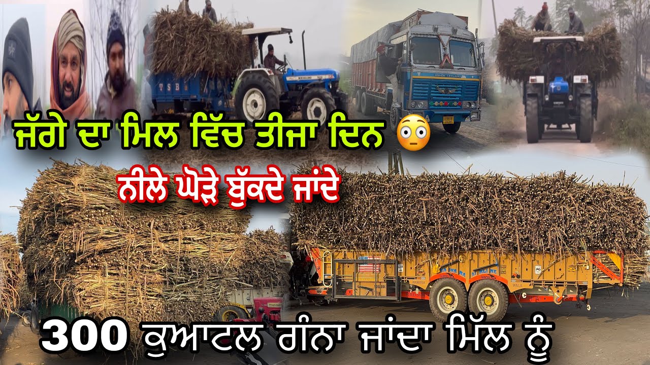 ਜੱਗੇ ਦਾ ਤੀਜਾ ਦਿਨ ਲੱਗਿਆ ਮਿੱਲ ਵਿੱਚ 