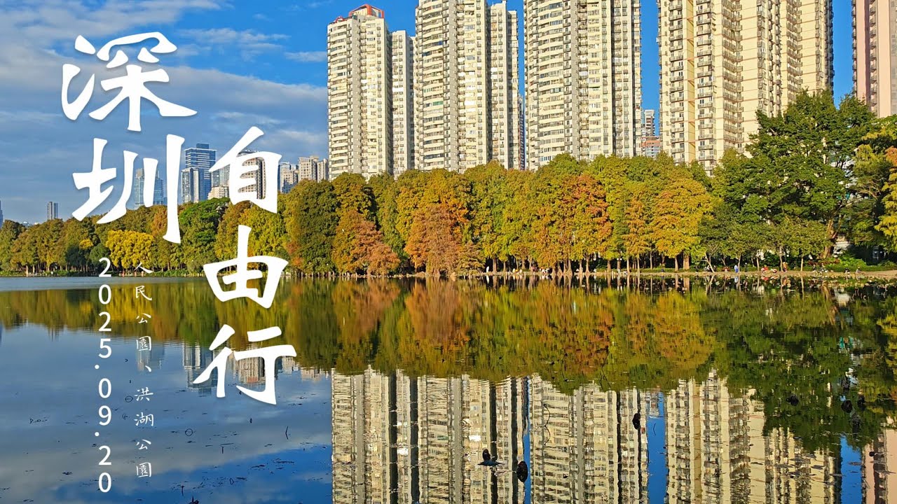 深圳自由行 人民公園#玫瑰 洪湖公園#落羽松 4K